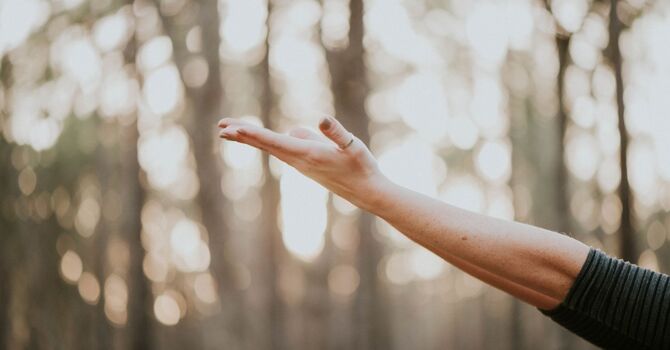 The Importance of Spinal Health for Overall Wellness image